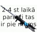 Amortizators SACHS 313 194