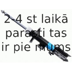 Amortizators SACHS 313 194