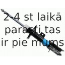 Amortizators SACHS 313 195