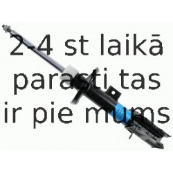 Amortizators SACHS 313 195