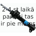 Amortizators SACHS 313 200