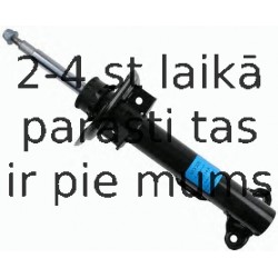 Amortizators SACHS 313 200