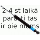 Amortizators SACHS 313 201