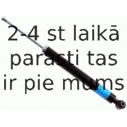 Amortizators SACHS 313 201