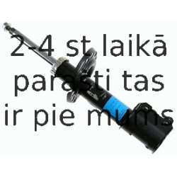 Amortizators SACHS 313 202