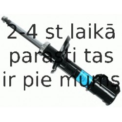 Amortizators SACHS 313 203