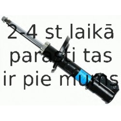 Amortizators SACHS 313 204