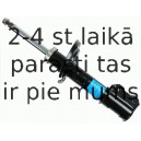 Amortizators SACHS 313 205