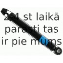 Amortizators SACHS 313 252