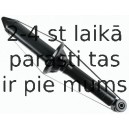 Amortizators SACHS 313 281