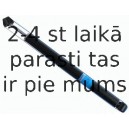 Amortizators SACHS 313 291