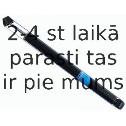 Amortizators SACHS 313 291