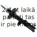 Amortizators SACHS 313 342