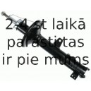 Amortizators SACHS 313 343