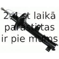 Amortizators SACHS 313 343