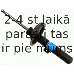 Amortizators SACHS 313 344