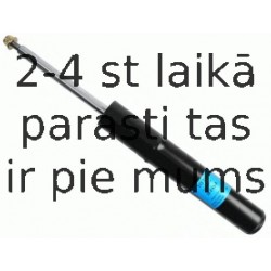 Amortizators SACHS 313 363