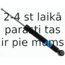 Amortizators SACHS 313 368