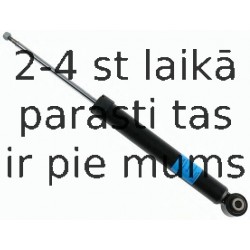 Amortizators SACHS 313 368