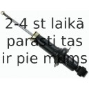 Amortizators SACHS 313 377