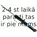 Amortizators SACHS 313 381