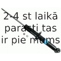 Amortizators SACHS 313 381