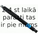 Amortizators SACHS 313 388