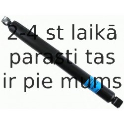 Amortizators SACHS 313 388