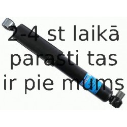 Amortizators SACHS 313 393