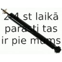 Amortizators SACHS 313 398