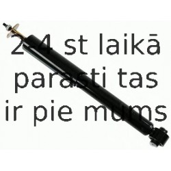 Amortizators SACHS 313 398