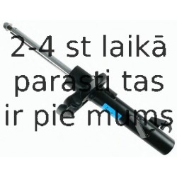 Amortizators SACHS 313 415