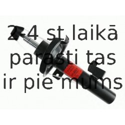 Amortizators SACHS 313 417