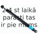 Amortizators SACHS 313 419