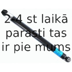 Amortizators SACHS 313 419