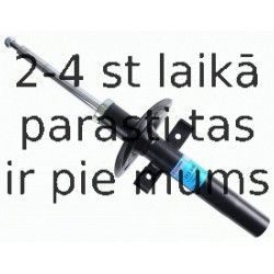 Amortizators SACHS 313 446