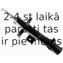 Amortizators SACHS 313 455