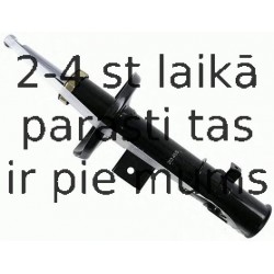 Amortizators SACHS 313 455