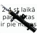 Amortizators SACHS 313 456