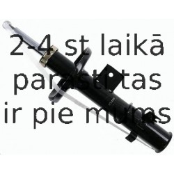 Amortizators SACHS 313 456