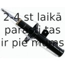 Amortizators SACHS 313 459