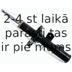 Amortizators SACHS 313 459