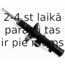 Amortizators SACHS 313 460