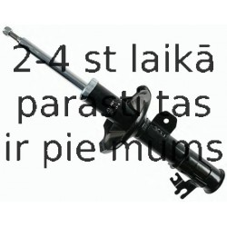 Amortizators SACHS 313 467