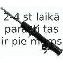 Amortizators SACHS 313 468