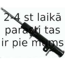 Amortizators SACHS 313 468