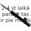 Amortizators SACHS 313 469