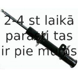 Amortizators SACHS 313 469