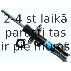 Amortizators SACHS 313 478