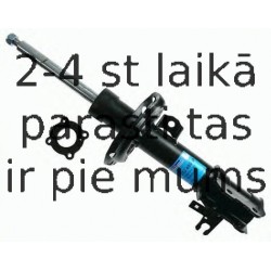 Amortizators SACHS 313 480